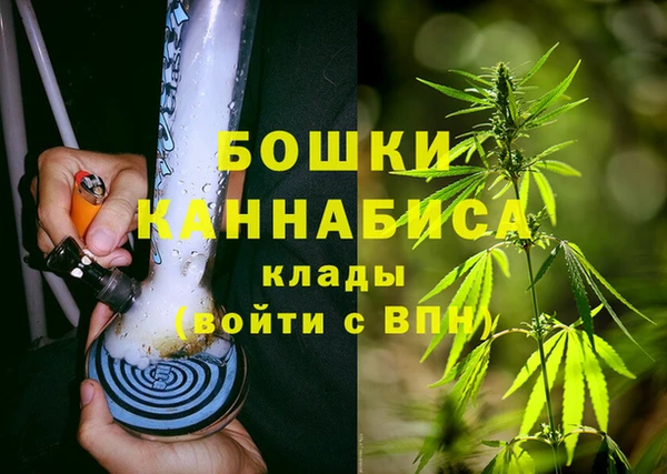 дживик Богородск