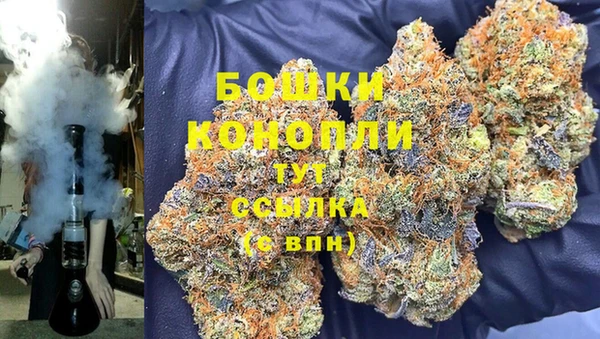дживик Богородск