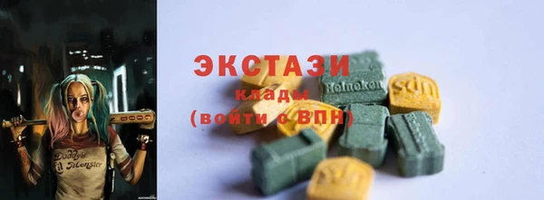 дживик Богородск