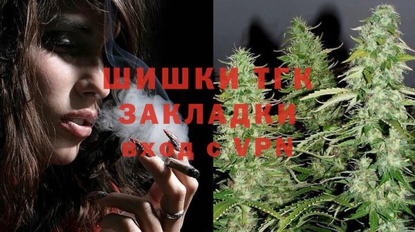 дживик Богородск