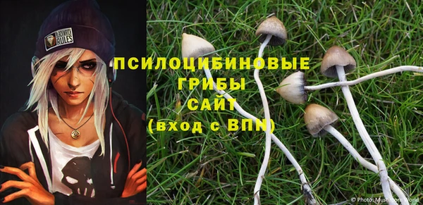 бутират Саяногорск