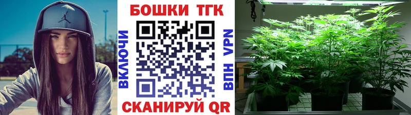 где купить наркоту  Пестово  Бошки марихуана индика 